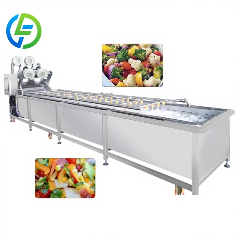 Baby Food Fruits - カスタマイズ可能なベビーフードフルーツ洗浄機、エレベーターサラダまたは野菜洗浄機（オゾン付き）